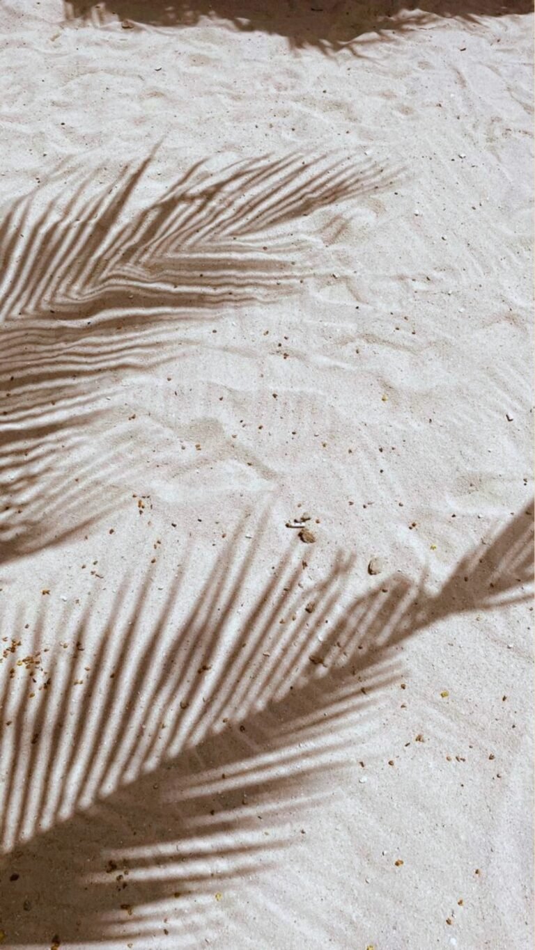 Instagram post from piavecosmetics. This post is in position 4.